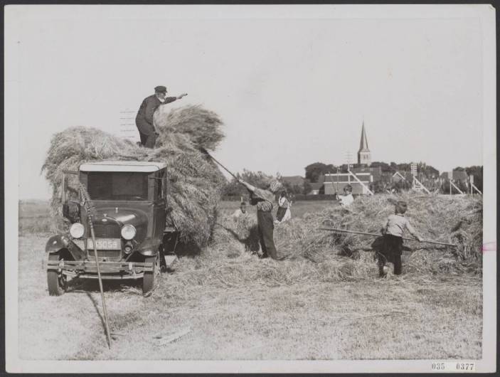 Kinderarbeid: meehelpen op het land 1918
