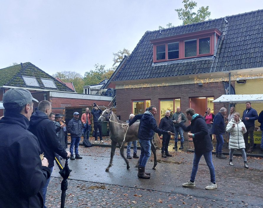 Handjeklap op de Zuidlaarder paardenmarkt anno 2025
